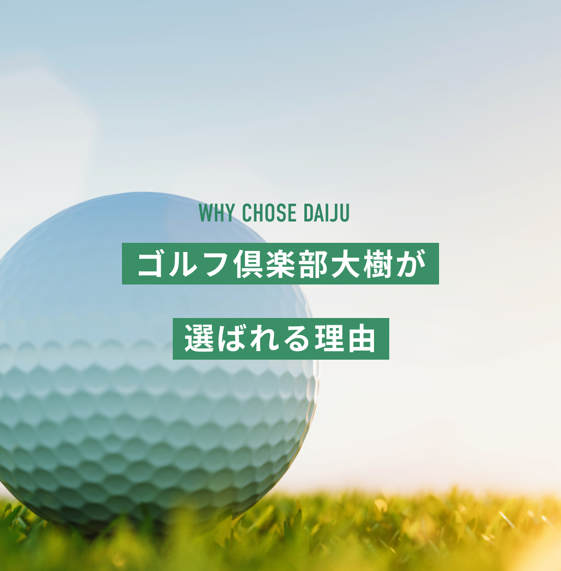 大樹が選ばれる理由